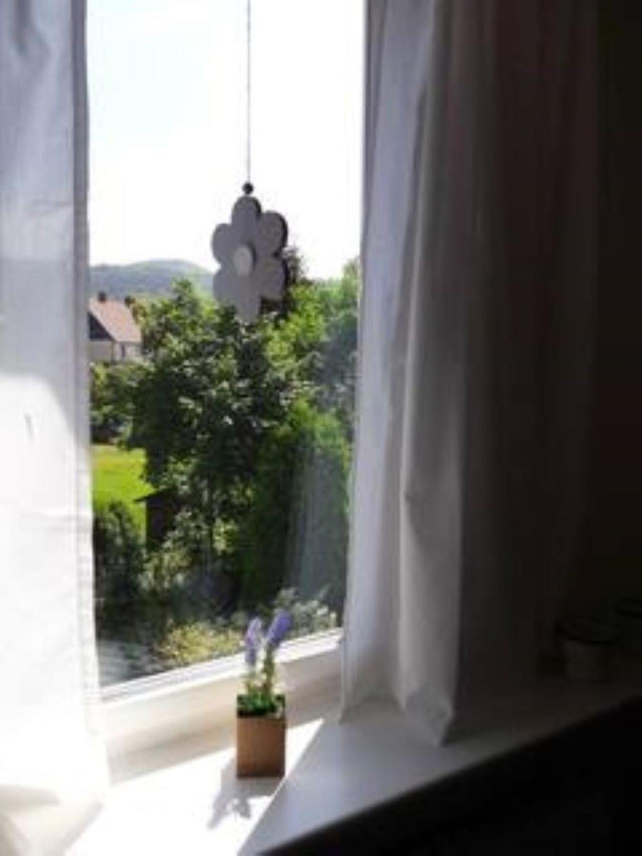Ferienwohnung Pusteblume In Wolfshagen Im Harz لانغلسهايم المظهر الخارجي الصورة
